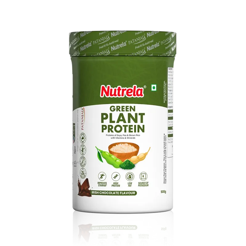 PAT.NU GREEN PLANT PROTEIN-500G CHOC FLV