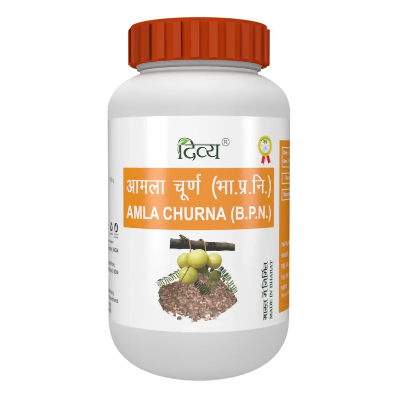 DIVYA AMLA CHURNA - 100 GM